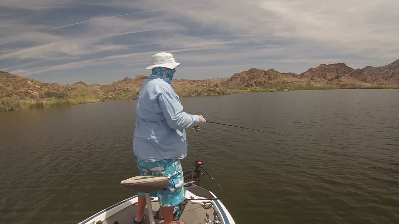 Fish #5 from River Bass Tournament Day 1 - YouTube
