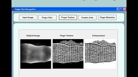 Human Identification using Finger Images Matlab Project