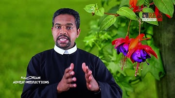 Alphonsian Advent Reflections Dec 23 The Cross