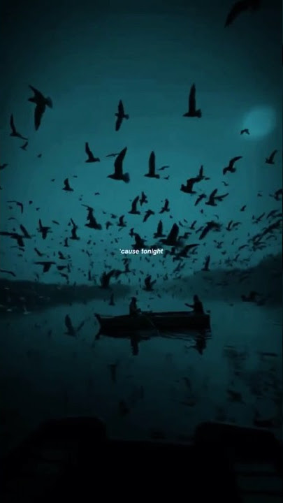 safari speed up #shorts #short #song #speedup