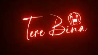 Hum Tere Bina ๐Ab Reh Nahi Sakte Ringtone || Hum Tere Bina ๐Ab Reh Nahi Sakte Status