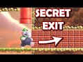 Bulrush Express! ALL SECRET EXITS, Wonder Seeds, Purple Coins 100% Walkthrough! *Super Mario Wonder*