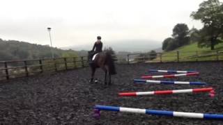Murphy Flatwork
