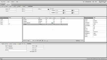 Data binding Extjs 4 grid , form , property-grid