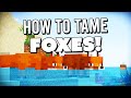 How to Tame FOXES Easily in Minecraft!