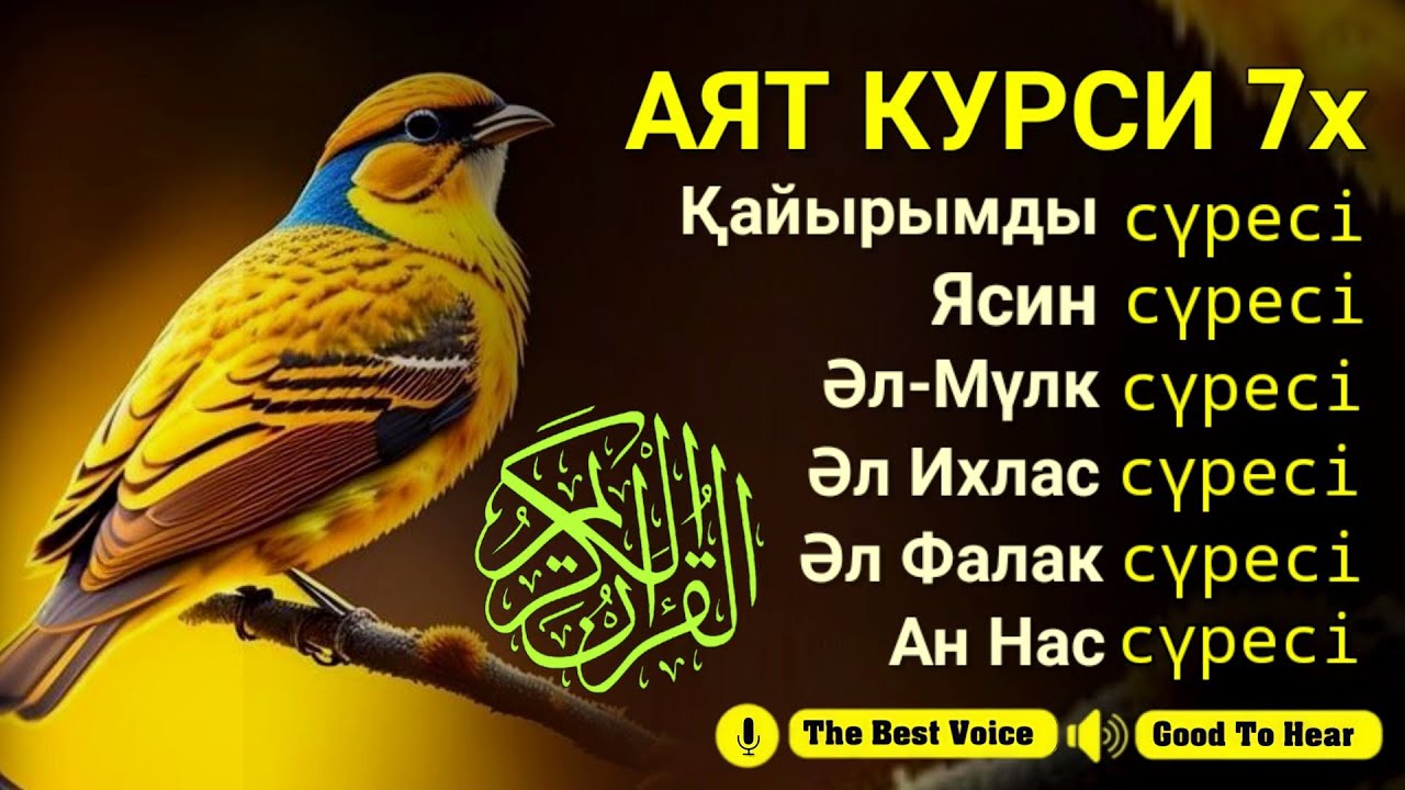 ҚҰРАН ОҚУ ҰЙЫҚ УАҚЫТЫ | Орындық өлеңі | Ар Рахман сүресі | Әл Мулк | Ясин | An Nas | Әл Ихлас