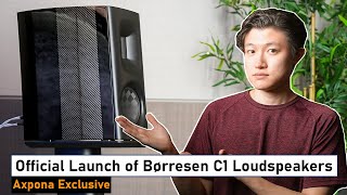 EVERYONE was drooling over the NEW Børresen C1 Audiophile Loudspeakers @AXPONA by Jay's iyagi 15,525 views 1 month ago 9 minutes, 45 seconds