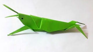 Cara Membuat Origami Belalang | Origami Grasshopper