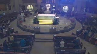 National Shrine of the Little Flower Livestream
