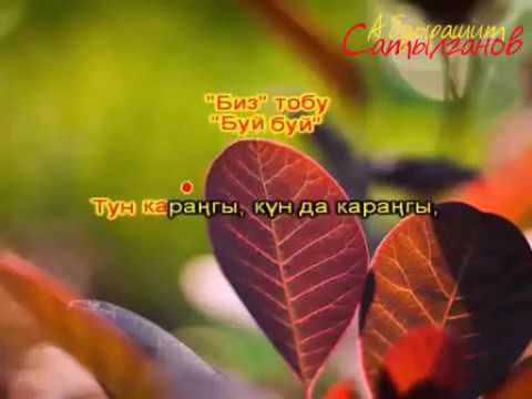 Биз тобу - Буй буй Караоке 🎤