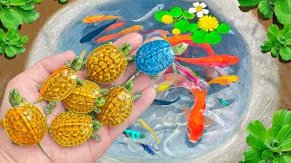 Amazing Catch Baby Diamond Turtle, Unicorn Head Fish, Pearlscale Goldfish, Striped Horse Fish