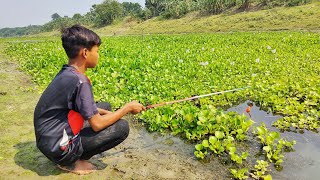 Unbelievable Hook Fishing Videos 2024✅| ~ Little Boy Hunting Fish By Hook In The Village River🥰🥰