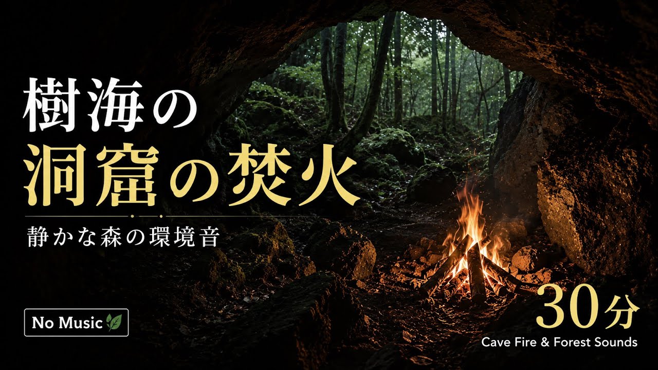 洞窟の焚火｜静かな森の環境音 30分【No Music】 | Cave Campfire in