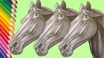 How to Draw a Horse Realistic Step by Step Easy Narrated for Beginners