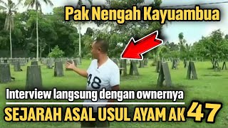 wawancara Sejarah Asalusul Dan Perkembangan Ayam Getar Ak47 Dibali