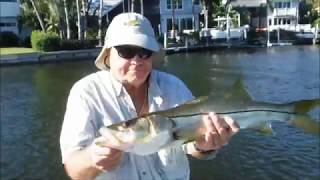 Saltwater Fishing with Spoons! – Siesta Key Fishing Charters