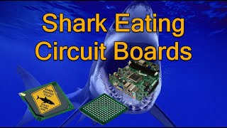 Shark Depopulating Boards