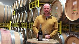 2019 Willamette Valley Pinot Noir