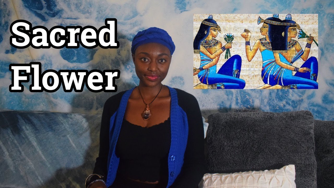 The Blue Lotus (Water Lily) | Ancient Egyptian Sacred Flower - YouTube