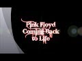 Pink Floyd-Coming Back to Life (with lyrics)