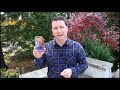 The first 5 things to try with iPhone 12, iPhone 12 Pro