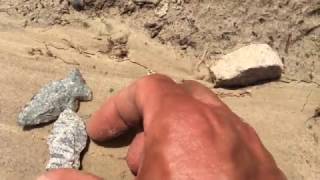 Double Notch Arrowheads at Notchville! ~ 521. Artifact Find! Apr 2017 3
