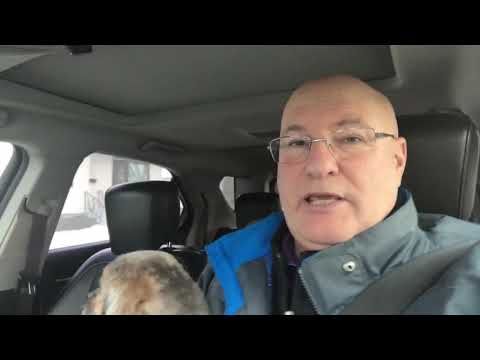 Little Charley hates the groomer then gets mad at her dad !!