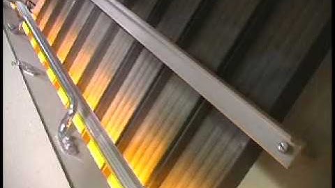 Dahlman Seed Color Sorting