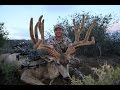 Epic Mule Deer Hunt, 218" Nevada Mule Deer(Part 2)