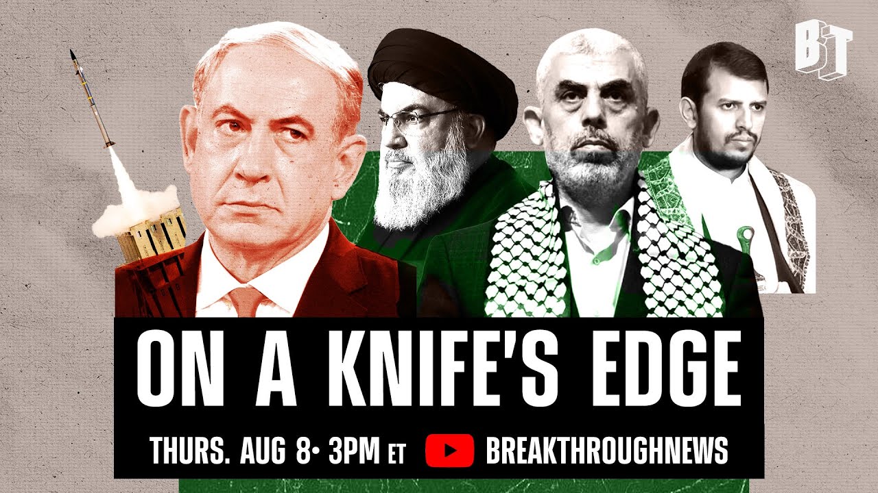 Vizionist
