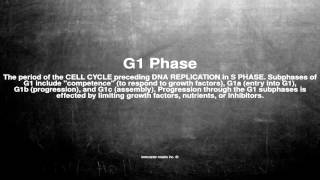 Medical vocabulary: What does G1 Phase mean What Does G1 Stand For