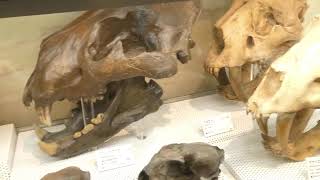 ミュージアムパーク茨城県自然博物館　2025/10