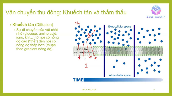 Insulin được vận chuyển thuận hóa qua màng tế bào