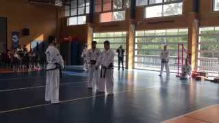 Mr Tony Nguyen - Hosin-sool for 2nd dan black belt testing
