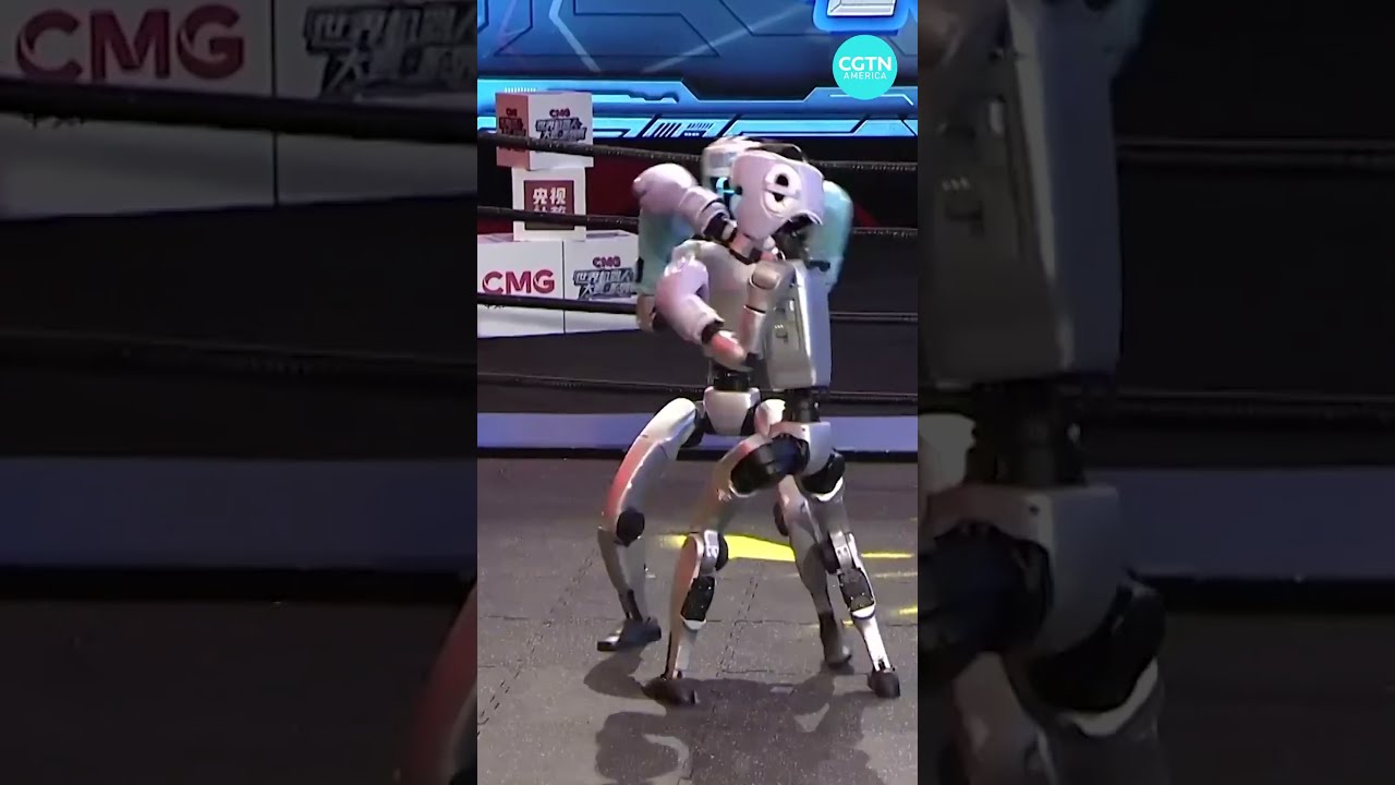 China Hosts First Ever Humanoid Robot Boxing Tournament