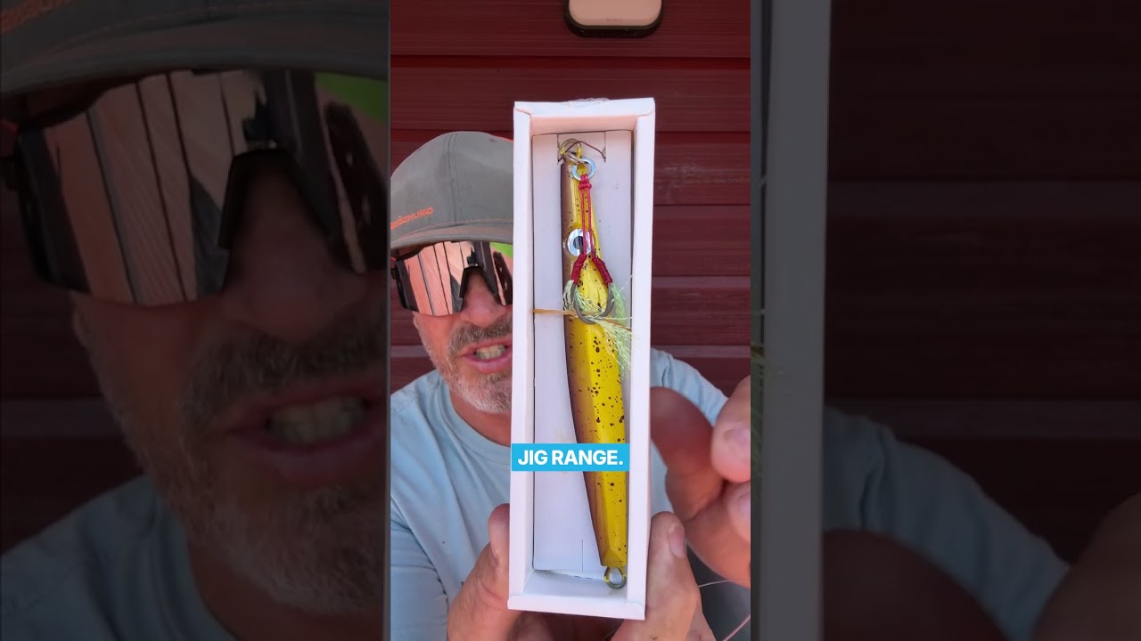 KINGFISH / キングフィッシュ / STUDIO & LIVE CUTS KINGFISH / KINGFISH / STUDIO & LIVE CUTS