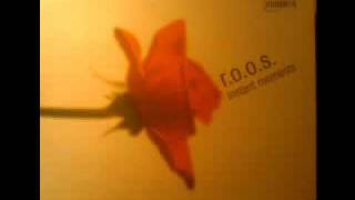 R.O.O.S. - Instant Moments (A1 - Moederoverste Onie Mix)