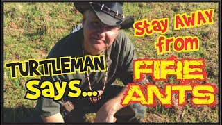 Turtleman says stay away from FIRE ANTS!