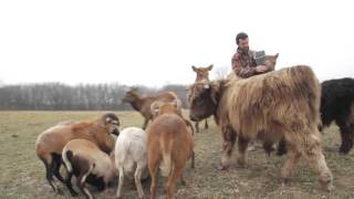 Aikman Wildlife Adventure Maker Production