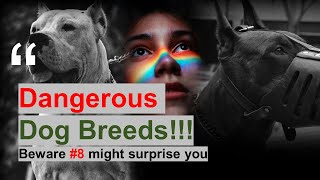Top 8 Dangerous Dog Breeds