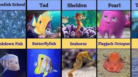 “Finding Nemo Characters in Real Life! 🐠 What They Really Look Like 😱”