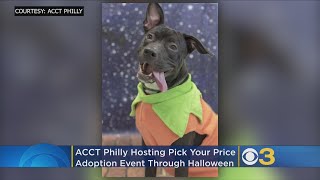 ACCT Philly Holding Tricks For Treats Adoption Event
