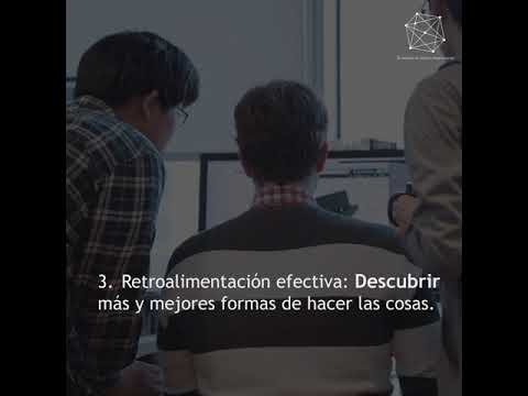 11 Actividades Virtuales De Creación De Equipos Para Impulsar El Compromiso