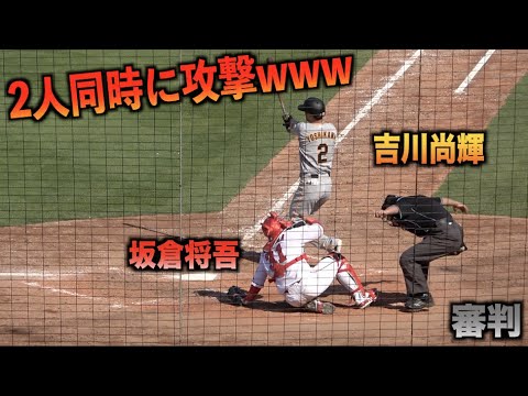 坂倉将吾と審判を一気に攻撃する吉川尚輝www