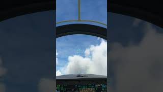 F35 Escorts a Airliner