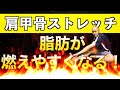 【脂肪が燃えやすくなる!】肩もスッキリ肩甲骨ストレッチ【5分】