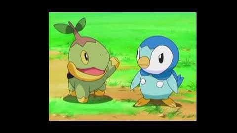 Turtwig and Piplup...
