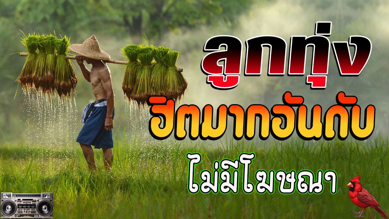 ลูกทุ่งเพราะมาก : 15เพลงฟังต่อเนื่อง #ลูกทุ่งเพลงดัง {เสียง HD}