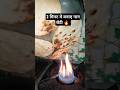 मात्र 2 मिनट मे बनाए होटल जैसा तंदूरी नान रोटी🤤👌👌 No Oven, No Tandoor #shorts #youtubeshorts #short