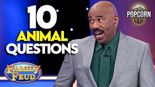 Best Animal Questions That Will Make You Laugh  Family Feud